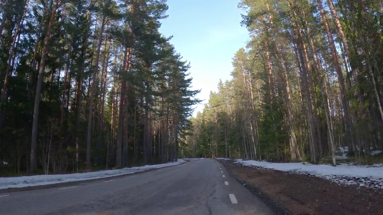 穿过森林里的道路视频素材