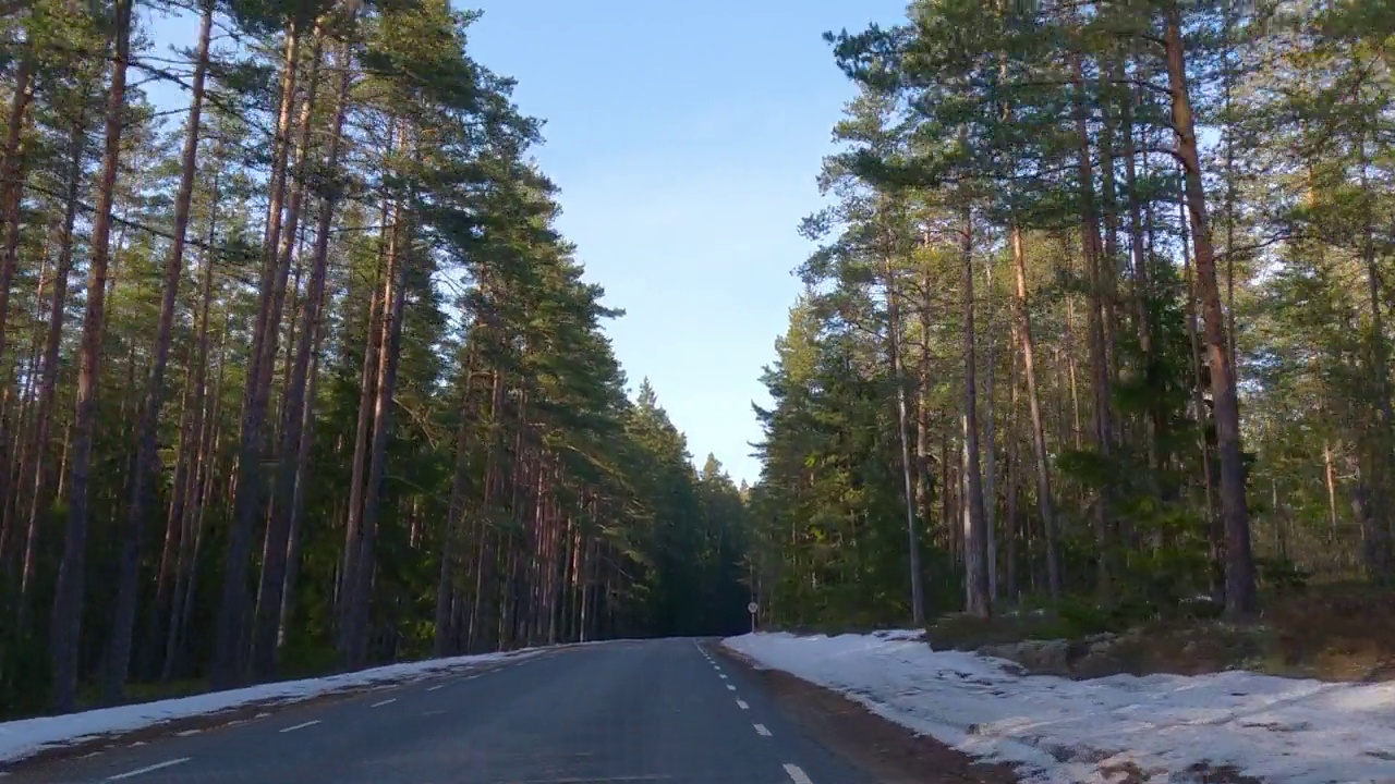 森林里路边的雪视频素材