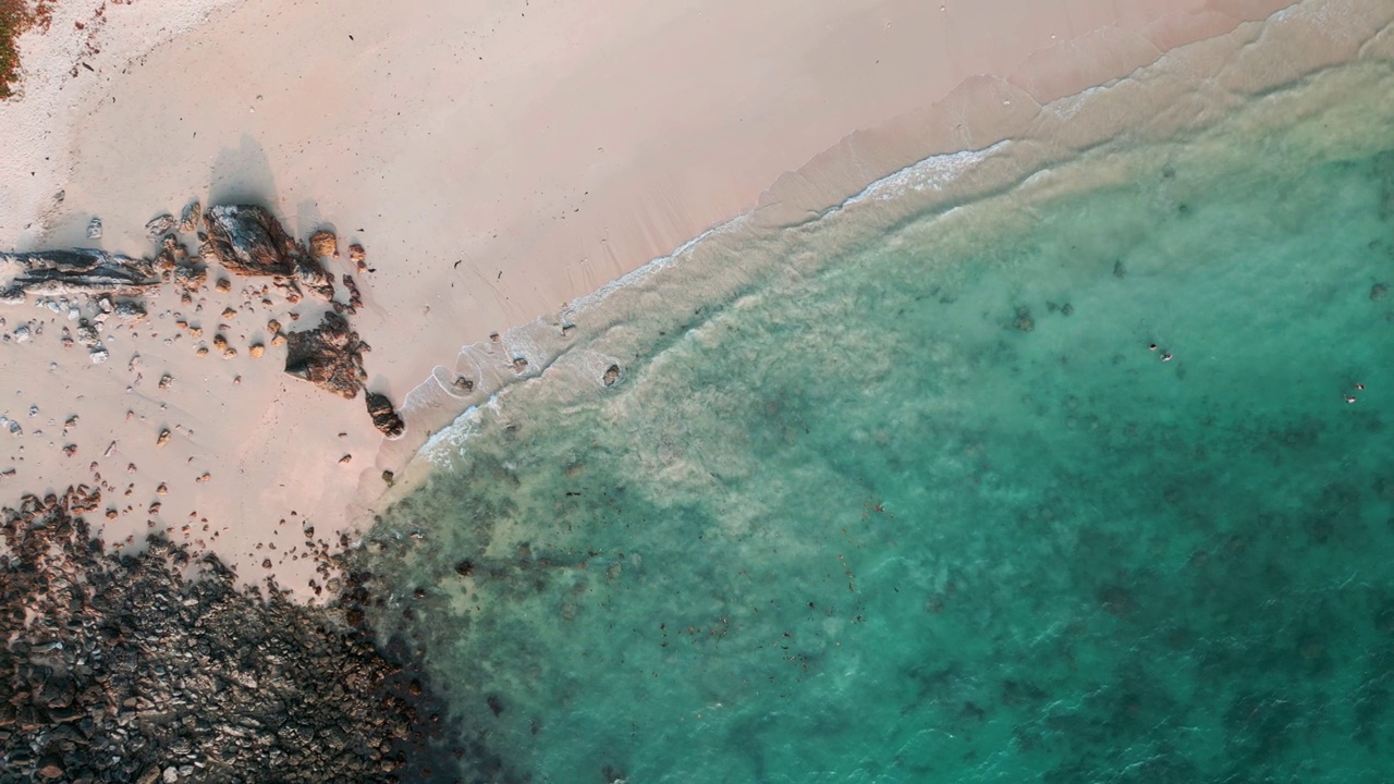 鸟瞰白沙海滩海浪与椰树暑假视频素材