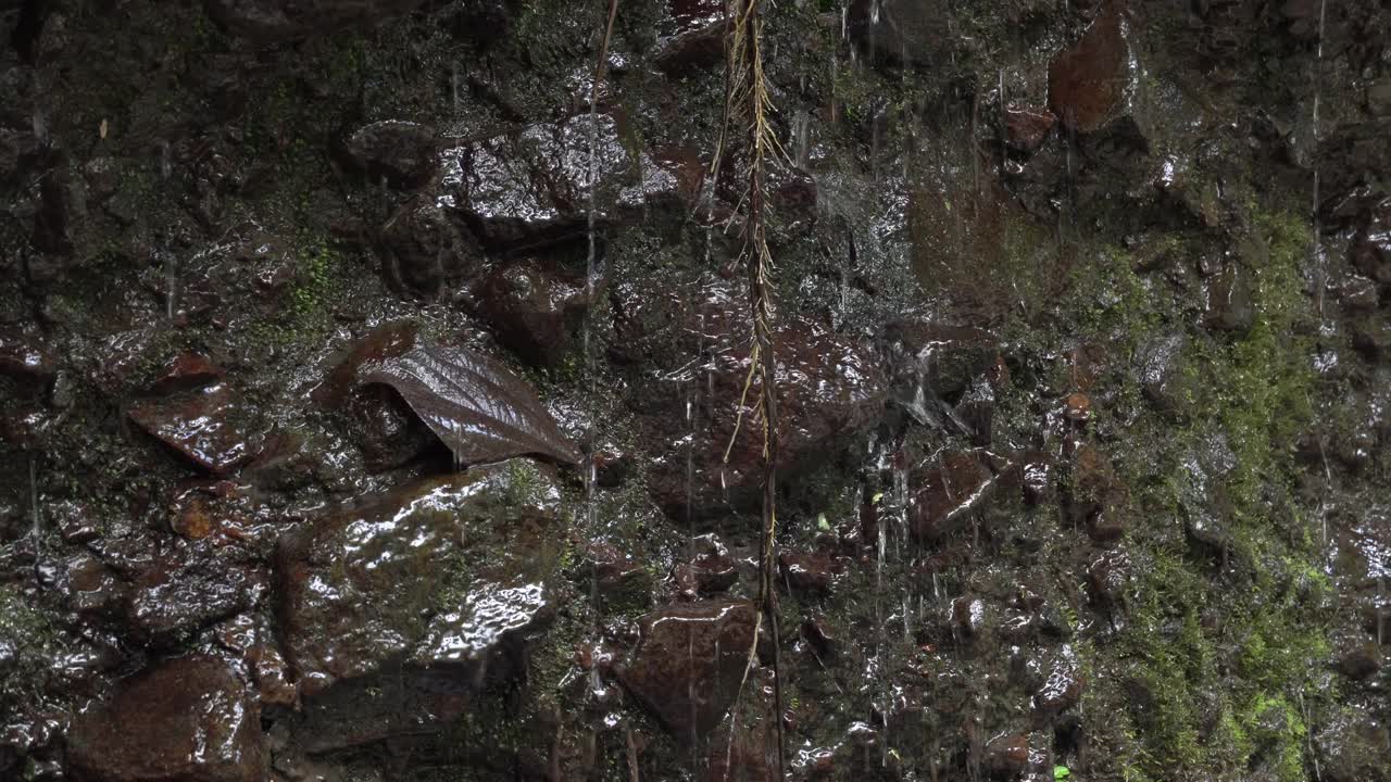 水流视频下载