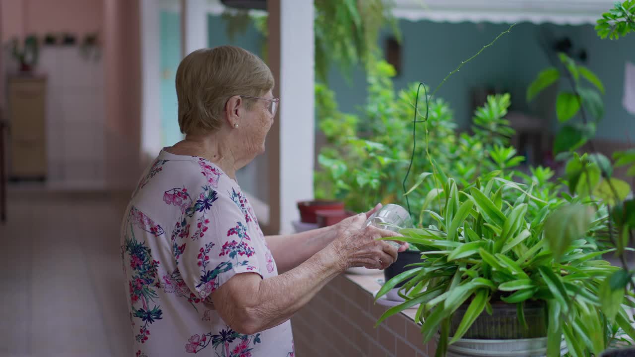 退休的80岁老年妇女在住宅后院给植物浇水视频素材