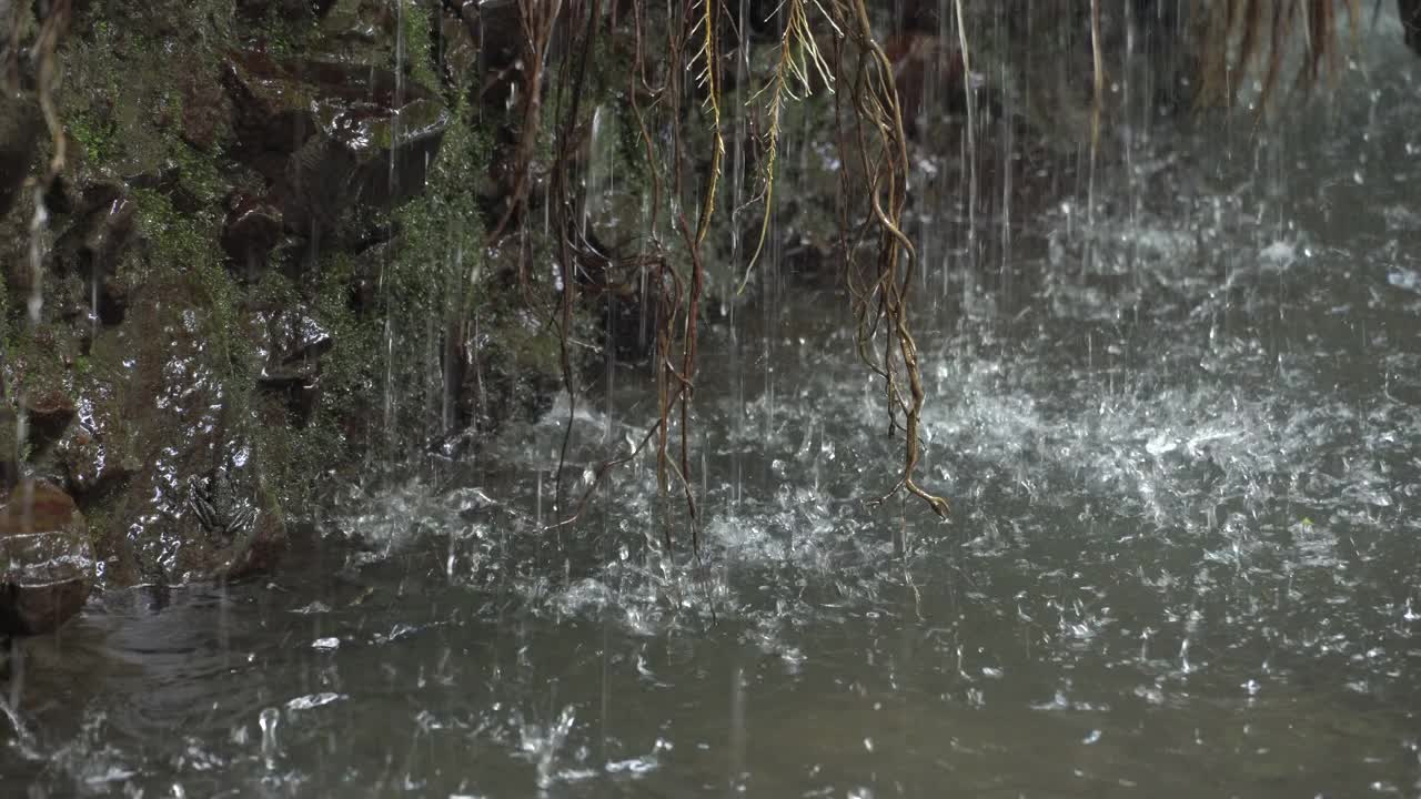 水流视频下载