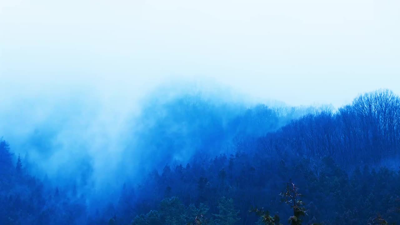 在雾蒙蒙的天气里，美丽的山林景观视频素材