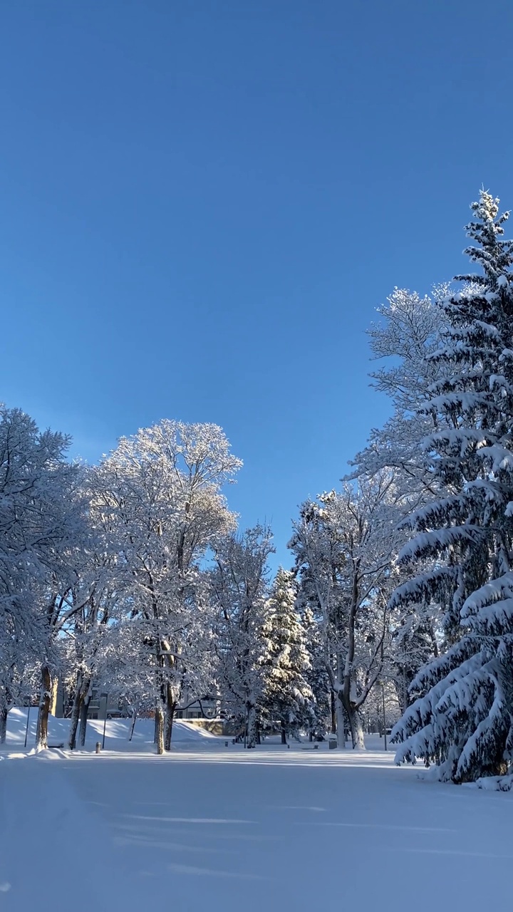 美丽的冬季景观视频素材