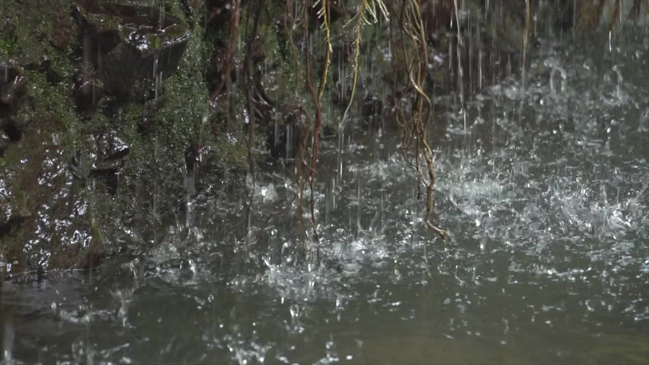 水流视频素材