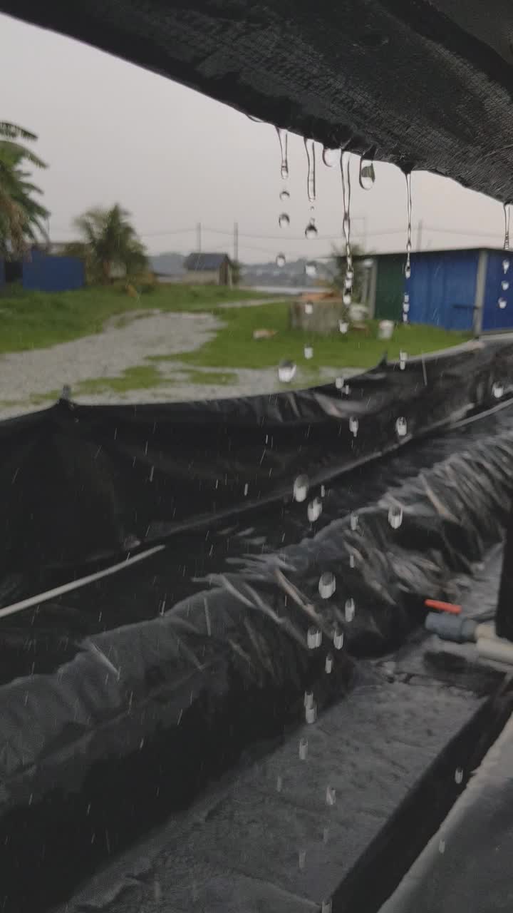 雨视频素材