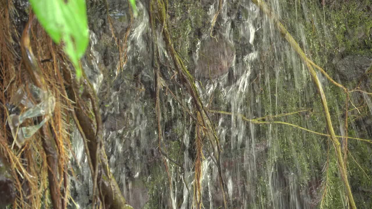 水流视频素材