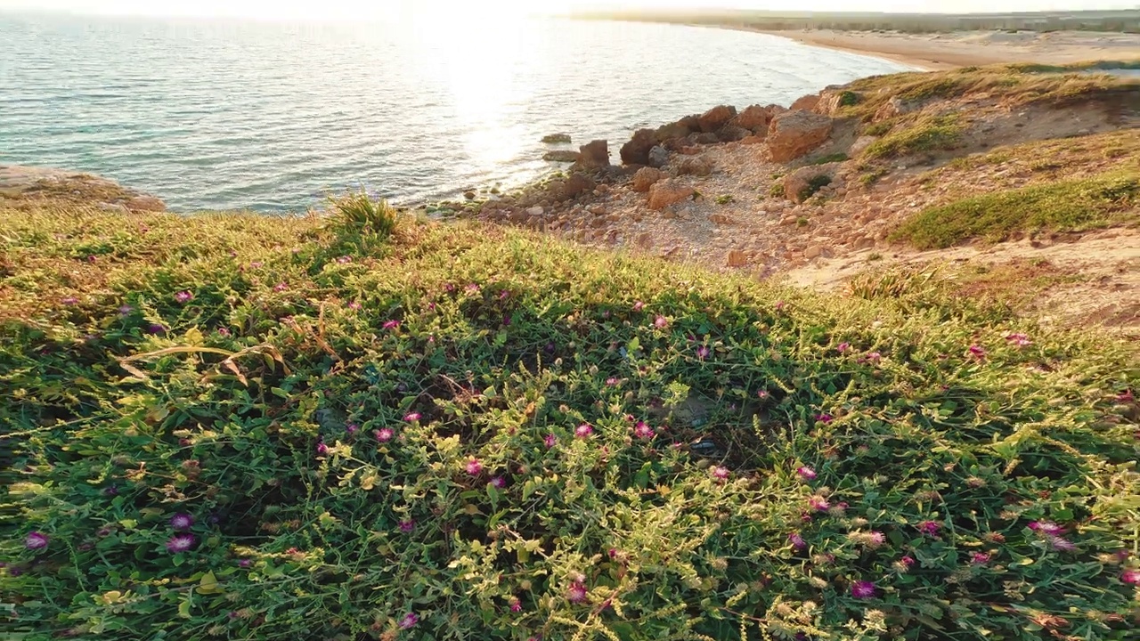 意大利西西里岛，夏日日落后缓慢的海浪视频素材