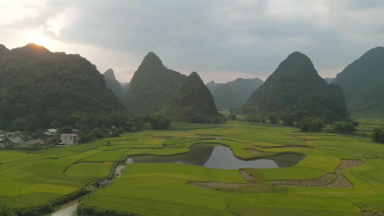 空中俯瞰新鲜的水稻梯田，绿色的农田在农村或农村地区曹邦，山丘陵山谷在亚洲，越南，中国边境。自然景观背景。视频素材