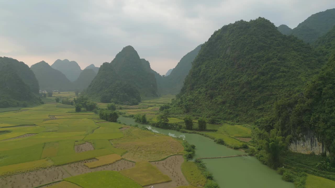 空中俯瞰新鲜的水稻梯田，绿色的农田在农村或农村地区曹邦，山丘陵山谷在亚洲，越南，中国边境。自然景观背景。视频素材