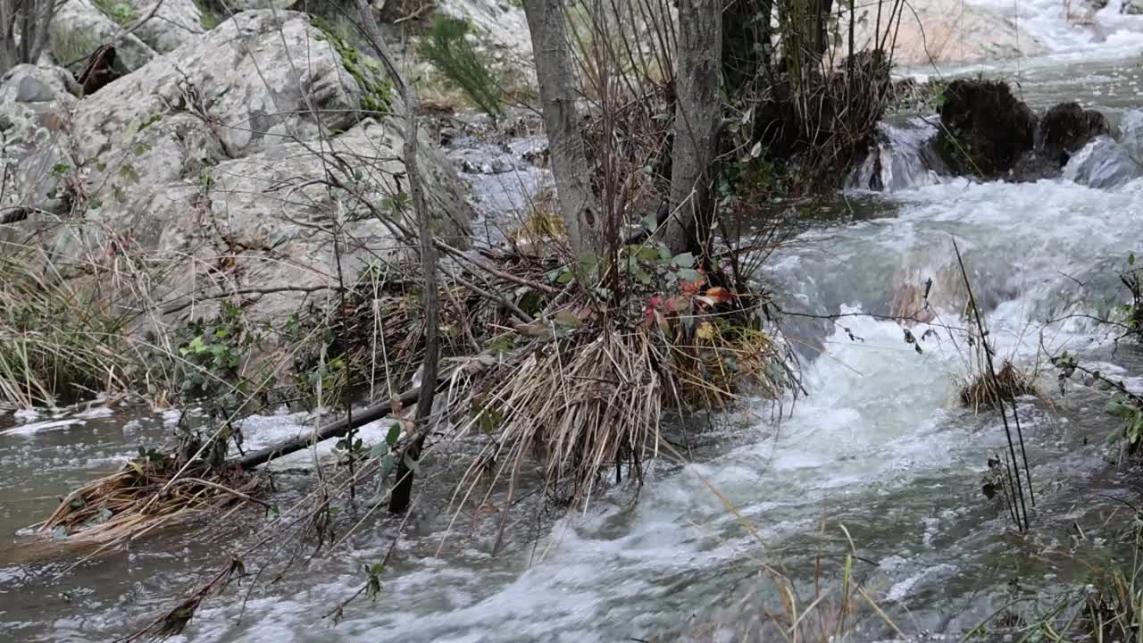 白天里，冒着泡沫的河水沿着树木旁边的大岩石流下来视频素材