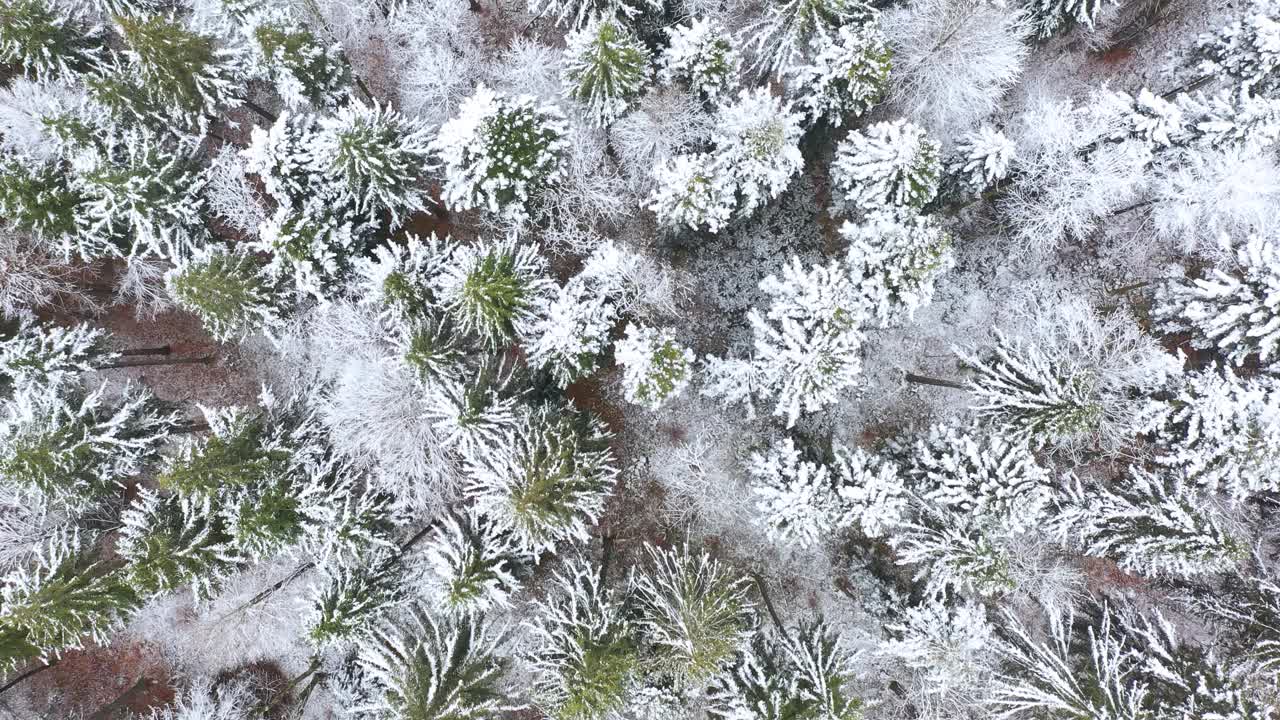 神奇鸟瞰雪山森林。视频素材