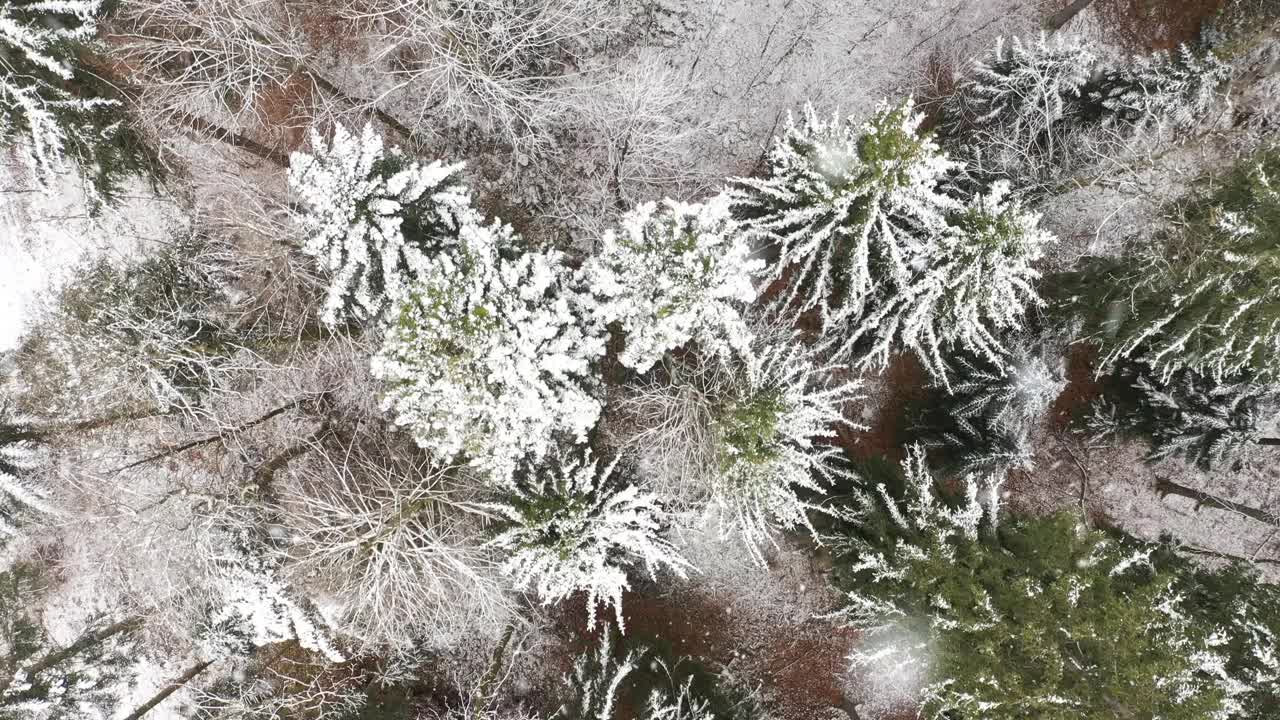 神奇的鸟瞰雪山森林在降雪。视频素材