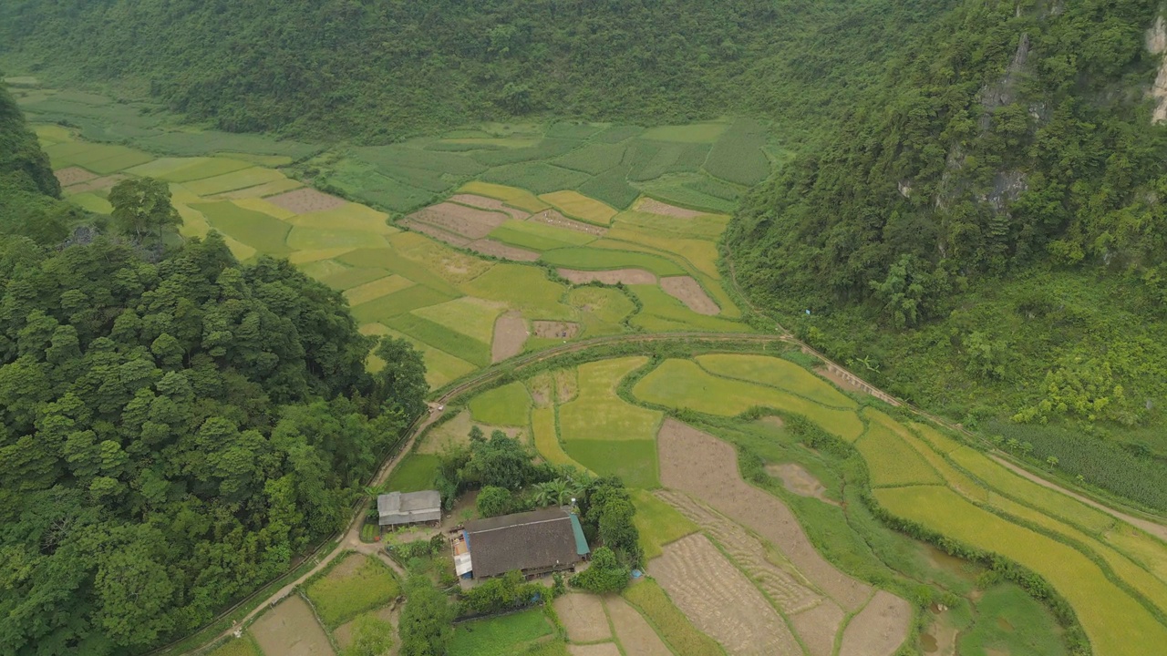 空中俯瞰新鲜的水稻梯田，绿色的农田在农村或农村地区曹邦，山丘陵山谷在亚洲，越南，中国边境。自然景观背景。视频素材