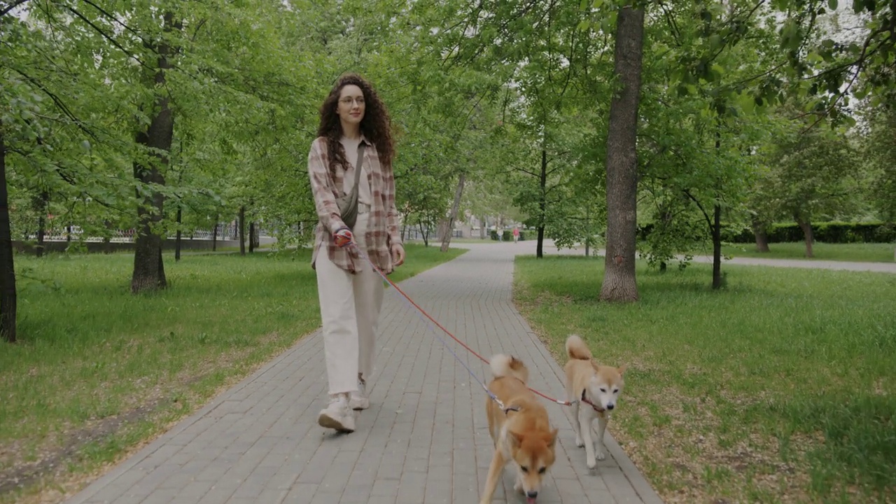 多莉拍摄的快乐的年轻女宠物主人和两只可爱的柴犬在城市公园散步视频素材