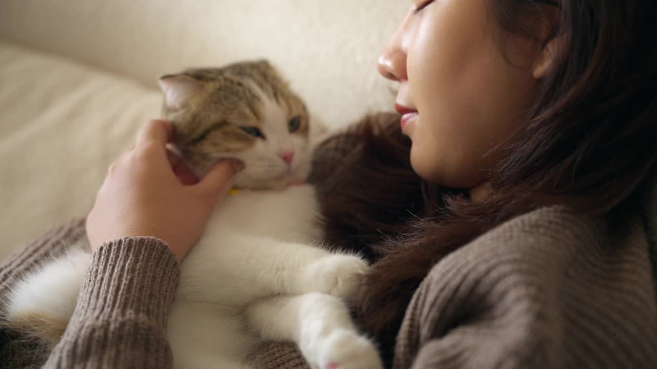 年轻女子在家里玩猫视频素材