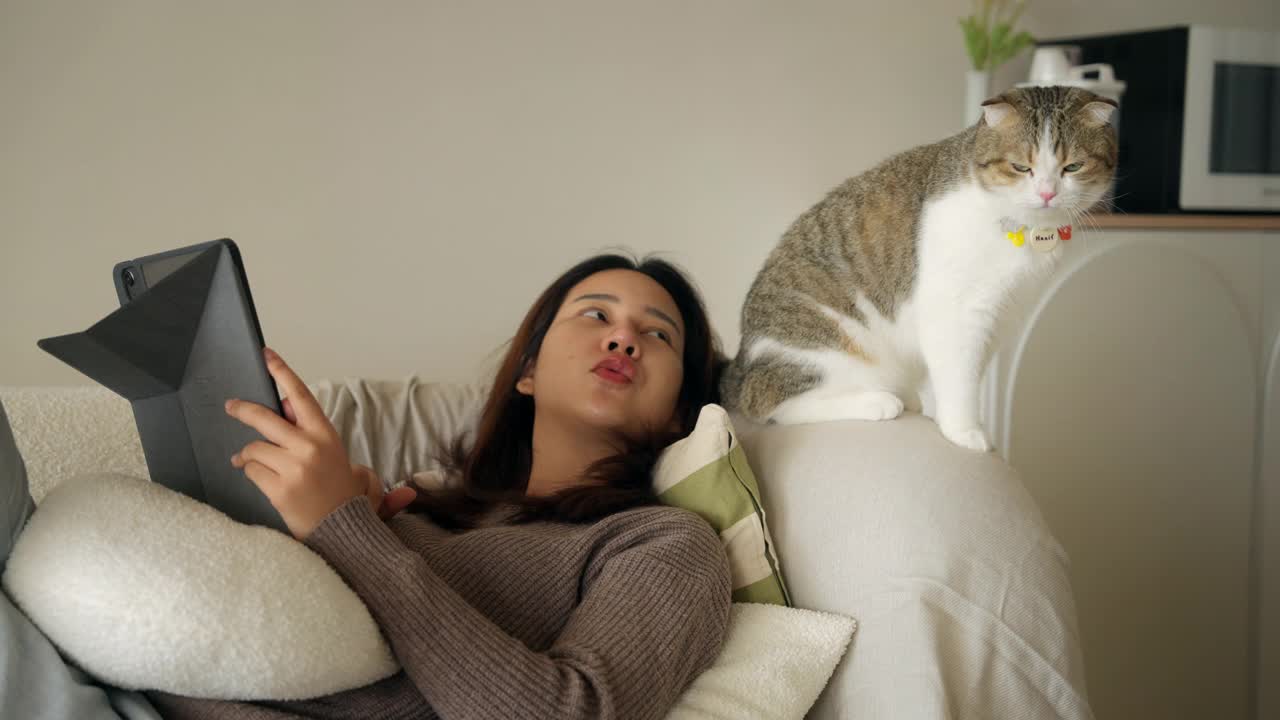 年轻女子使用平板电脑，家里还养着猫视频素材