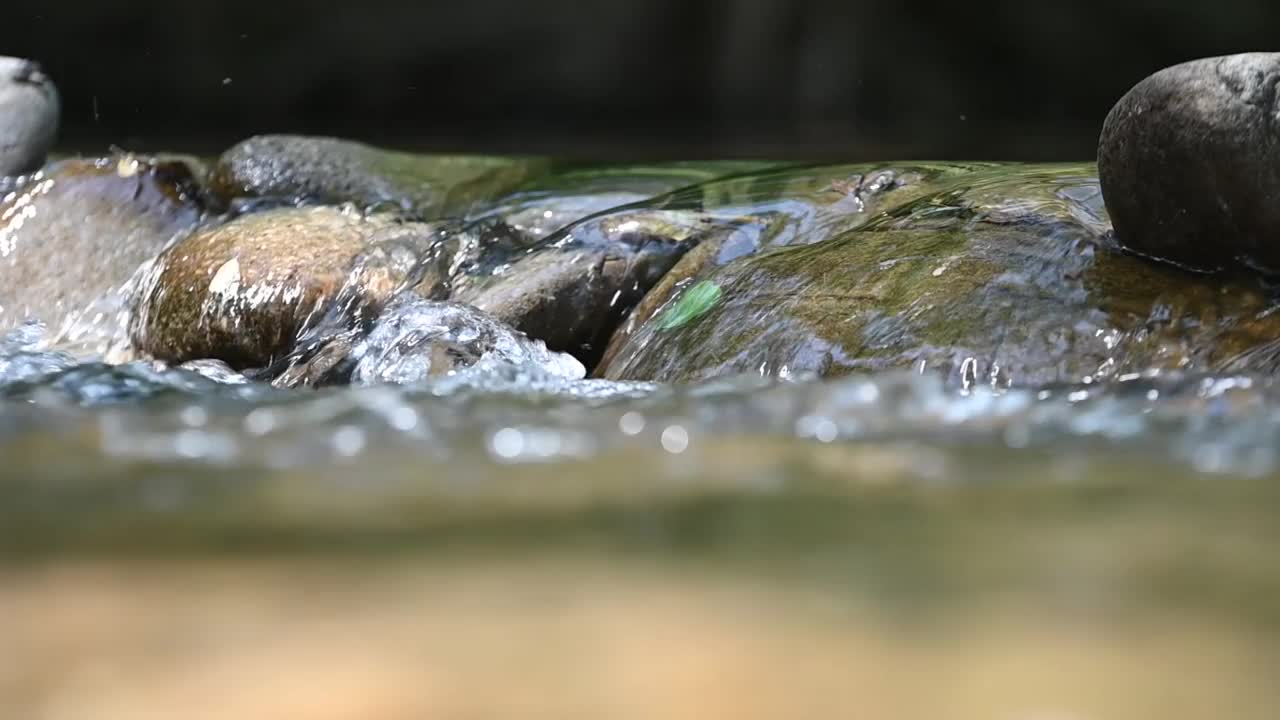 山野河水流过巨石。视频素材