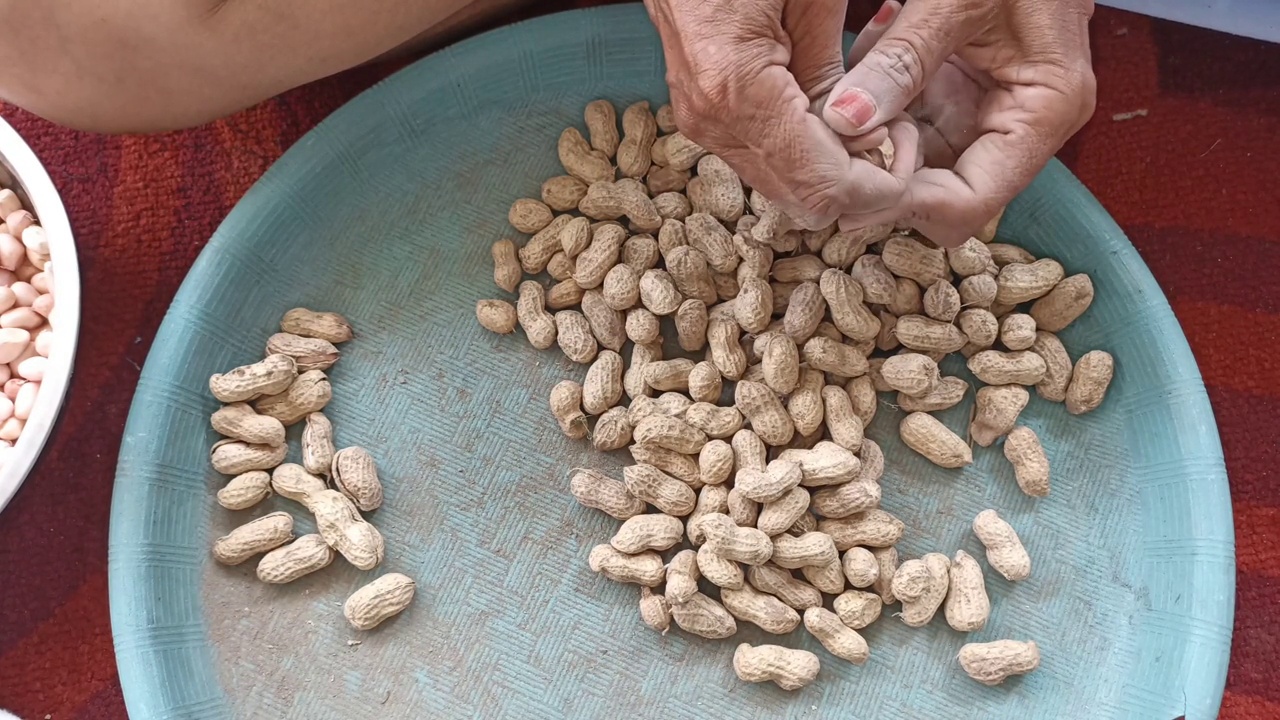 女人手开花生的特写。俯视图。视频下载