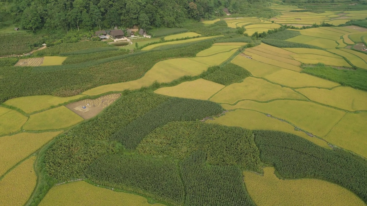 空中俯瞰新鲜的水稻梯田，绿色的农田在农村或农村地区曹邦，山丘陵山谷在亚洲，越南，中国边境。自然景观背景。视频素材