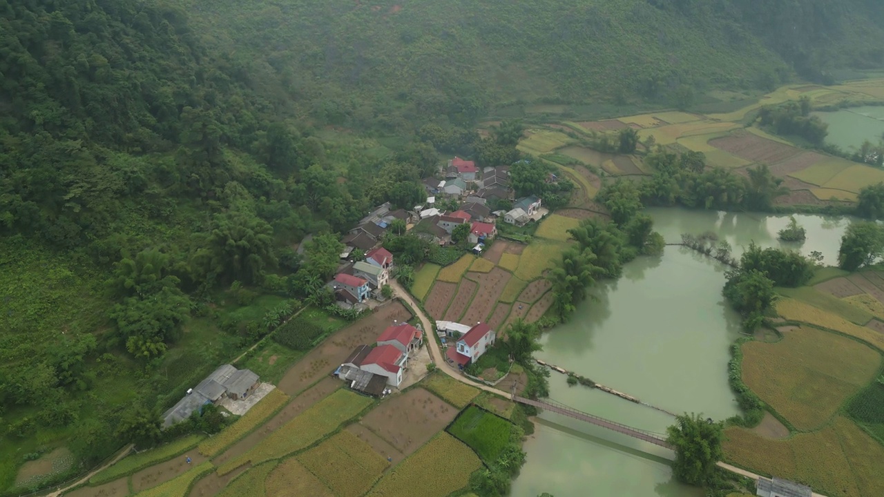 空中俯瞰新鲜的水稻梯田，绿色的农田在农村或农村地区曹邦，山丘陵山谷在亚洲，越南，中国边境。自然景观背景。视频素材