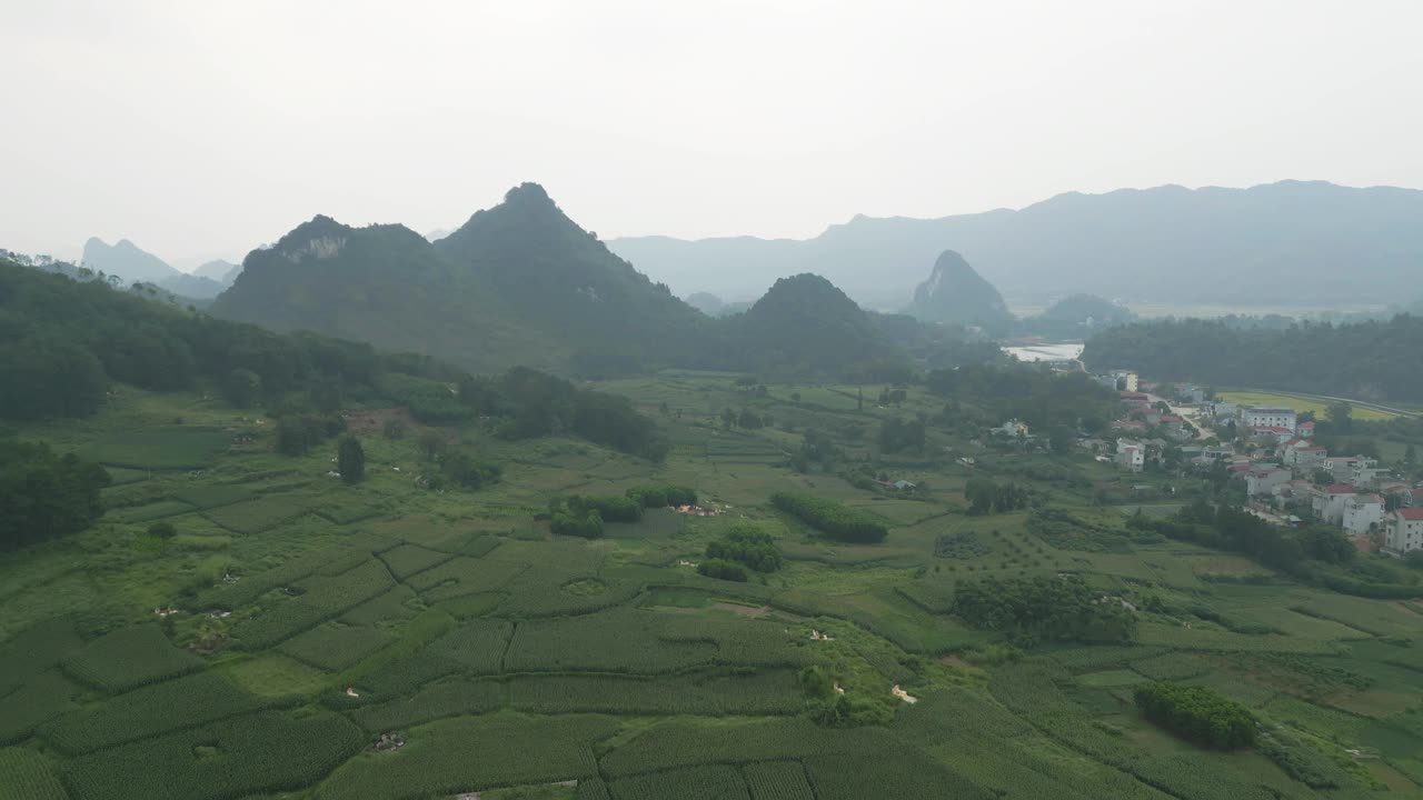 空中俯瞰新鲜的水稻梯田，绿色的农田在农村或农村地区曹邦，山丘陵山谷在亚洲，越南，中国边境。自然景观背景。视频素材