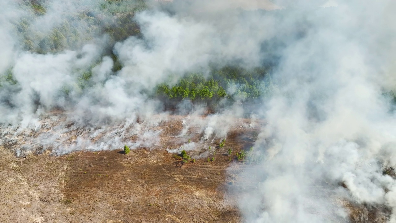 鸟瞰图:森林大火产生的白烟上升，污染了大气。自然灾害概念视频素材