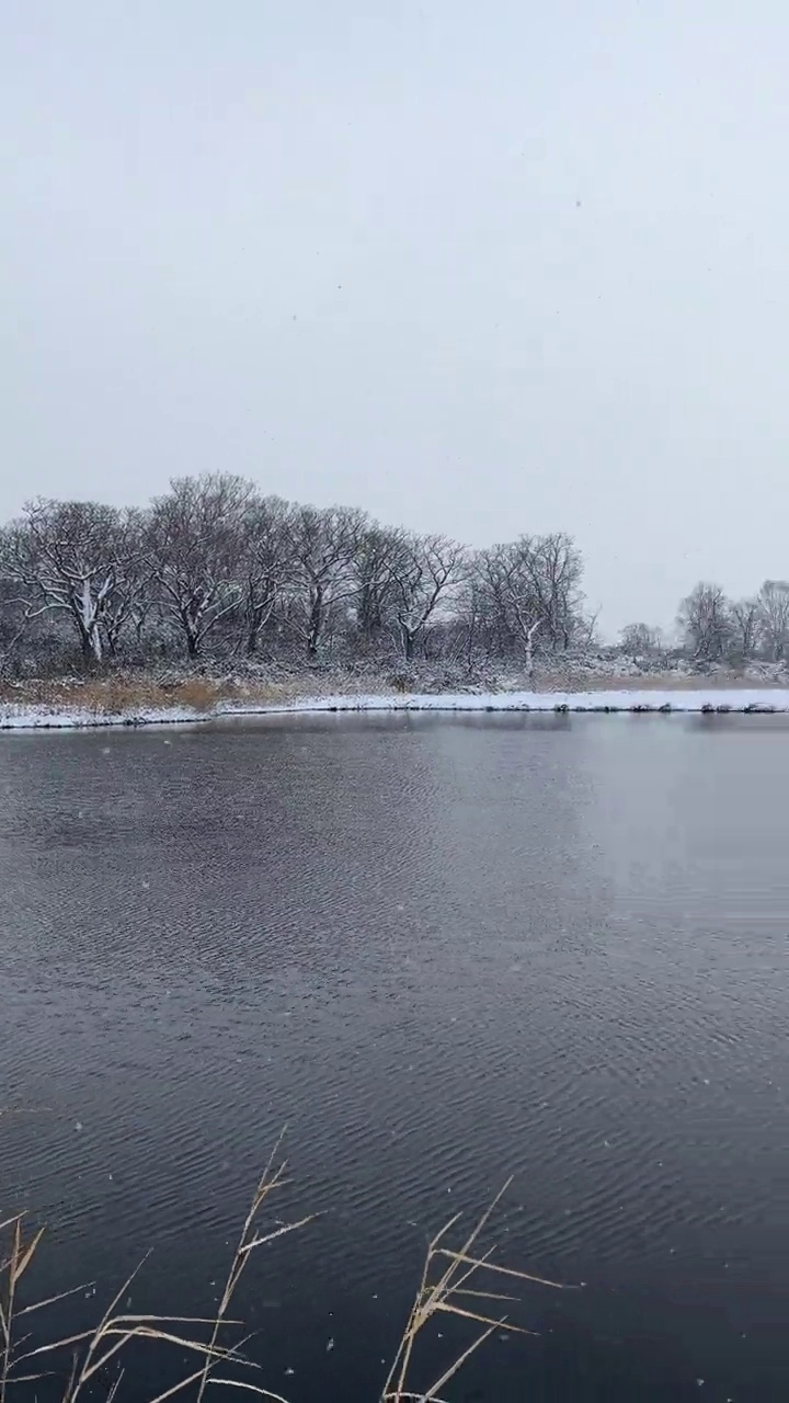 冬天的神沼，新雪谷视频下载