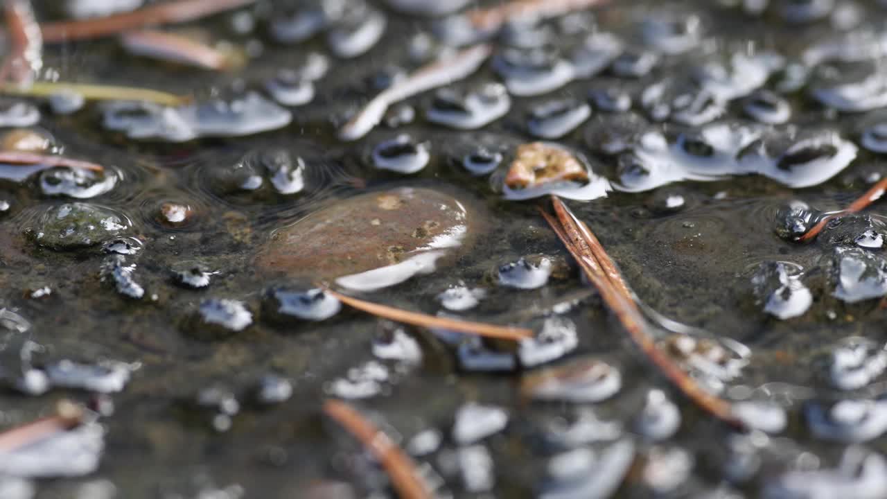 雨在鹅卵石上的特写视频下载