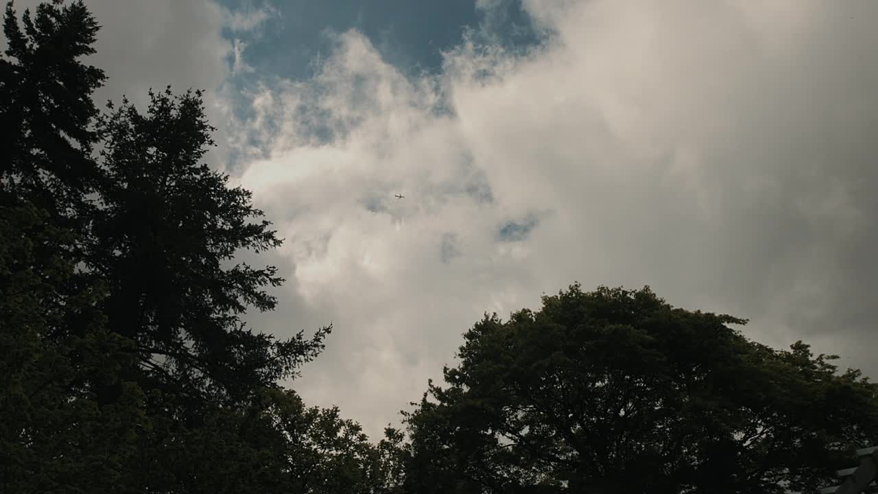 密林上的雨云视频下载