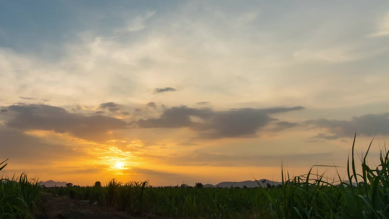 夕阳下的甘蔗农场随云移动的延时拍摄视频素材