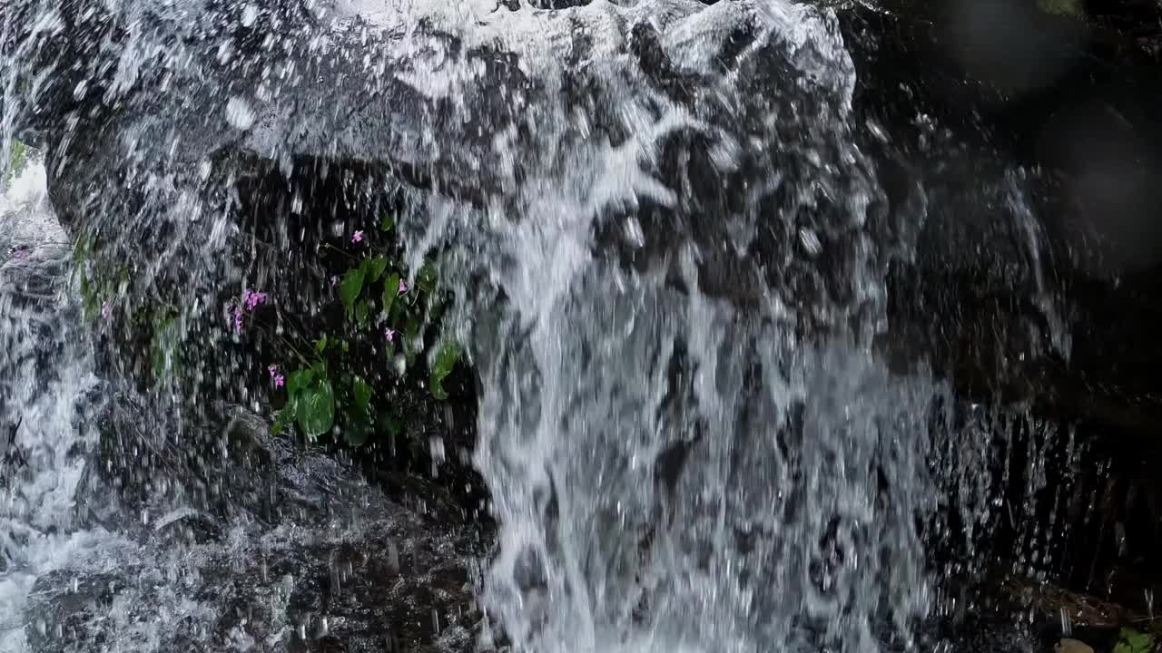 一种小瀑布，水流平滑地从岩石和石头上倾泻而下视频素材