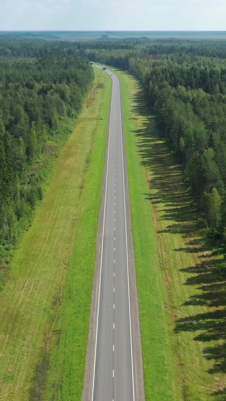 森林中乡村道路的鸟瞰图视频素材