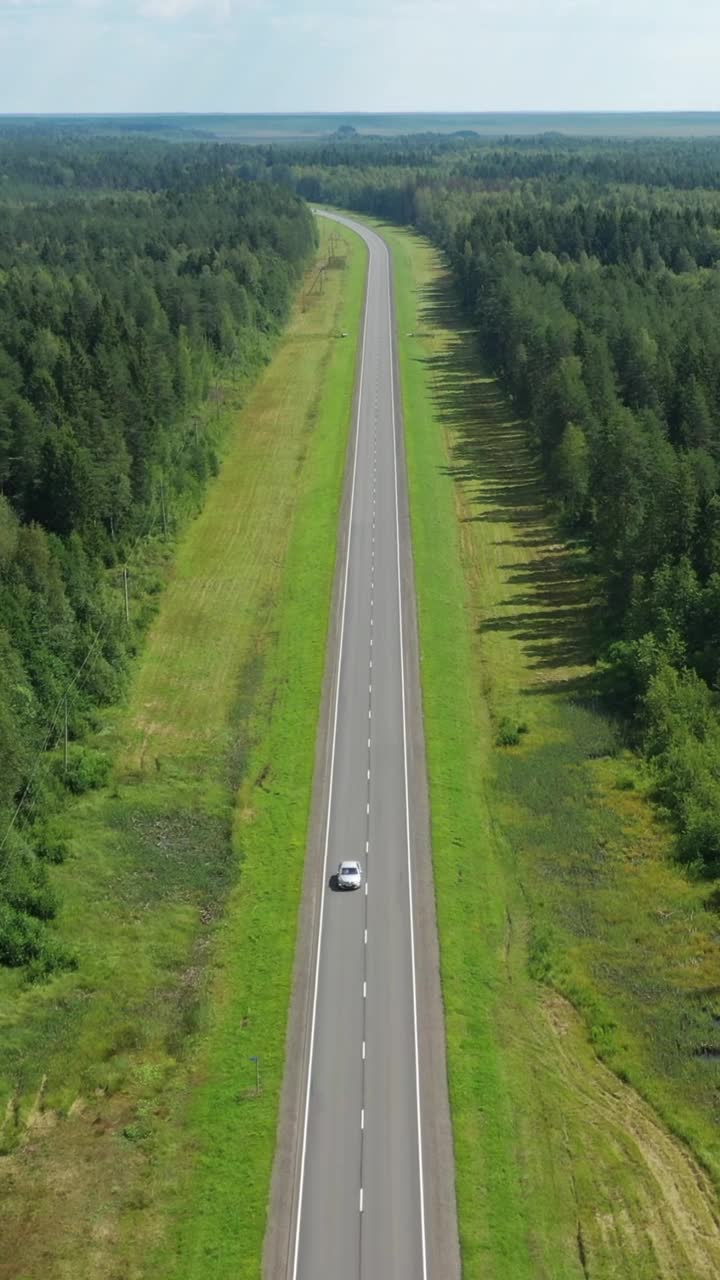 森林中乡村道路的鸟瞰图视频素材