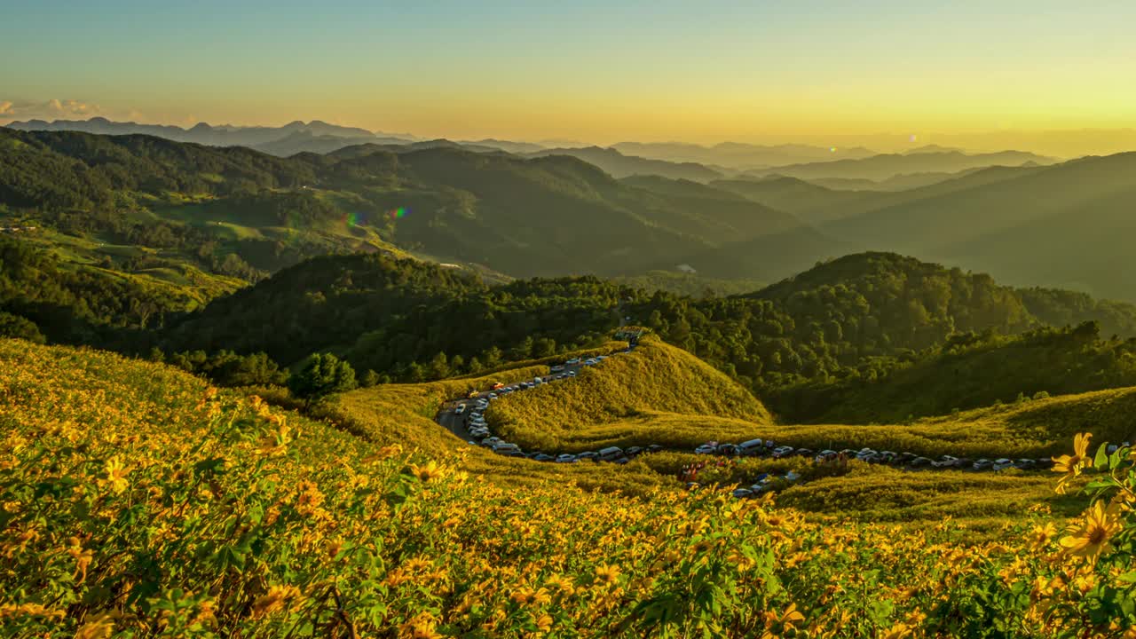 Bua Tong Bua油田，Doi Mae U Kho, Mae Hong Son，泰国视频下载