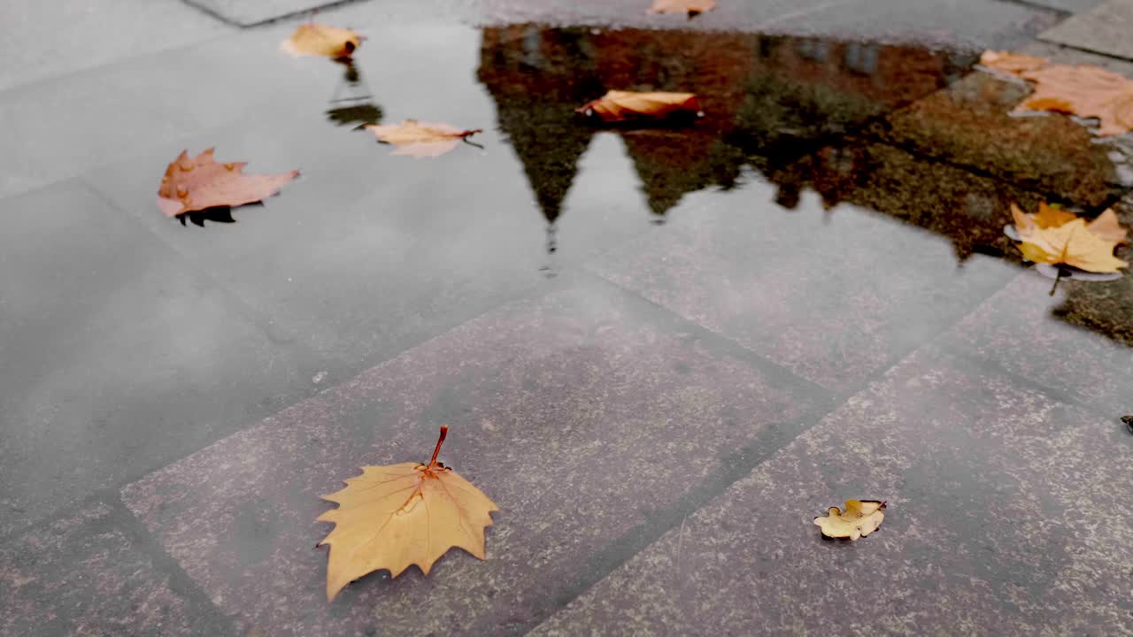 秋天，雨滴落在落叶的水坑里视频素材