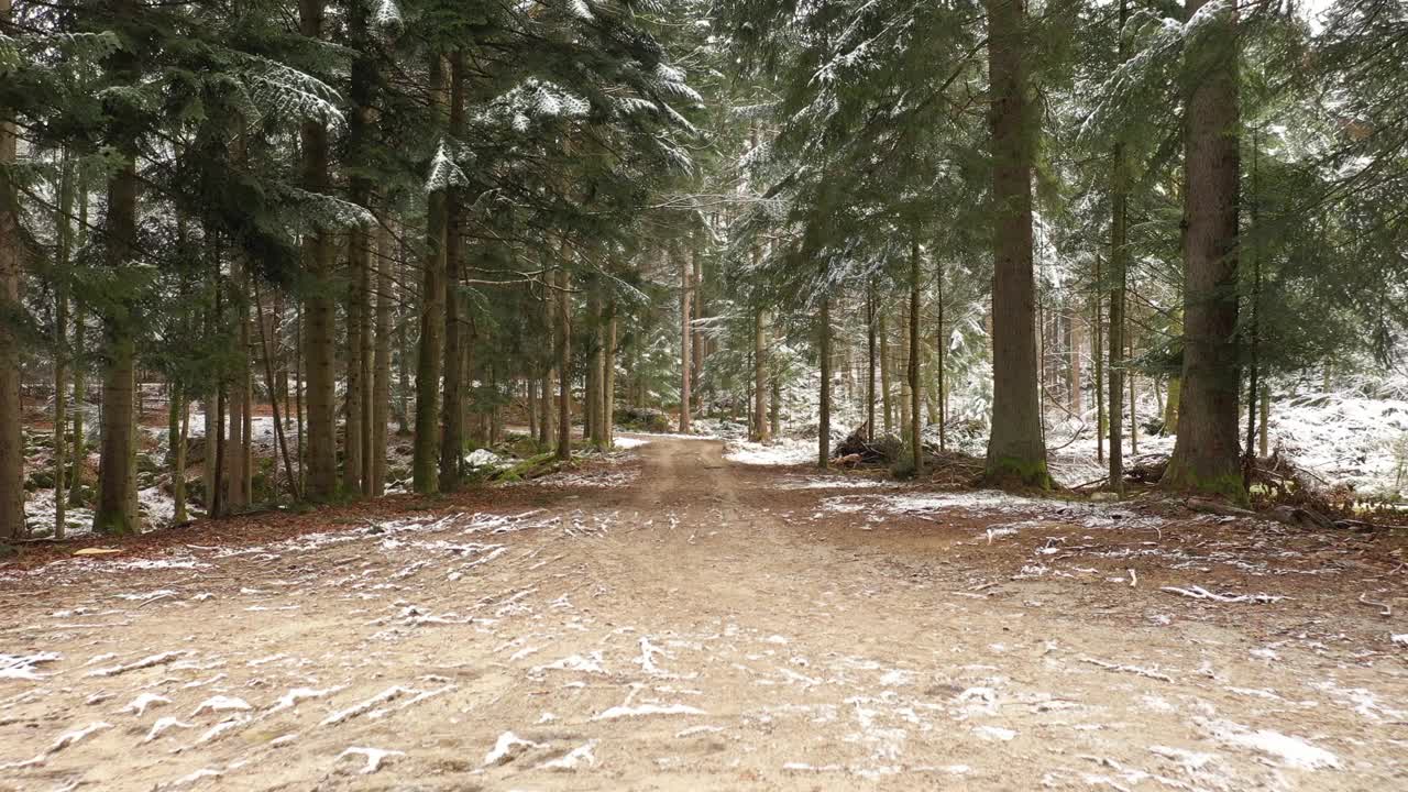 沿着棕色寒冷冰冻的森林道路飞行。缓慢的运动。视频素材