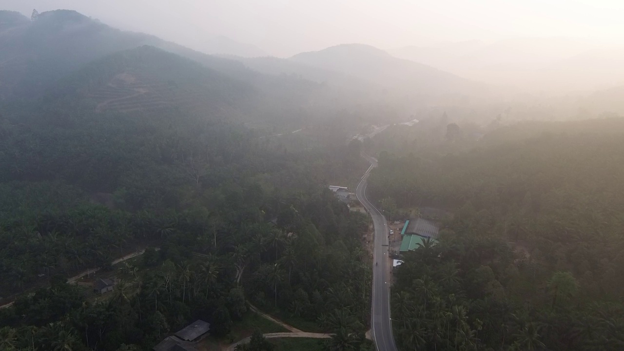 路在山谷里，早晨有雾。高角度视角。视频素材