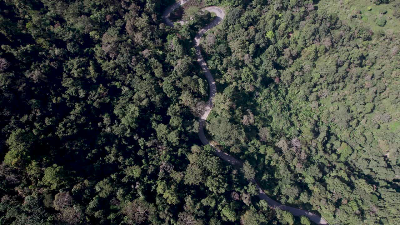 乡村道路的俯视图，穿过绿色的森林和山视频素材