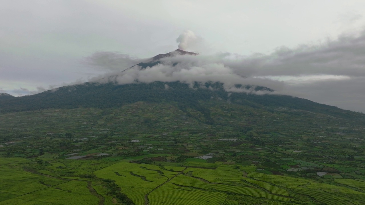 茶园和克里奇山。印度尼西亚苏门答腊。视频素材