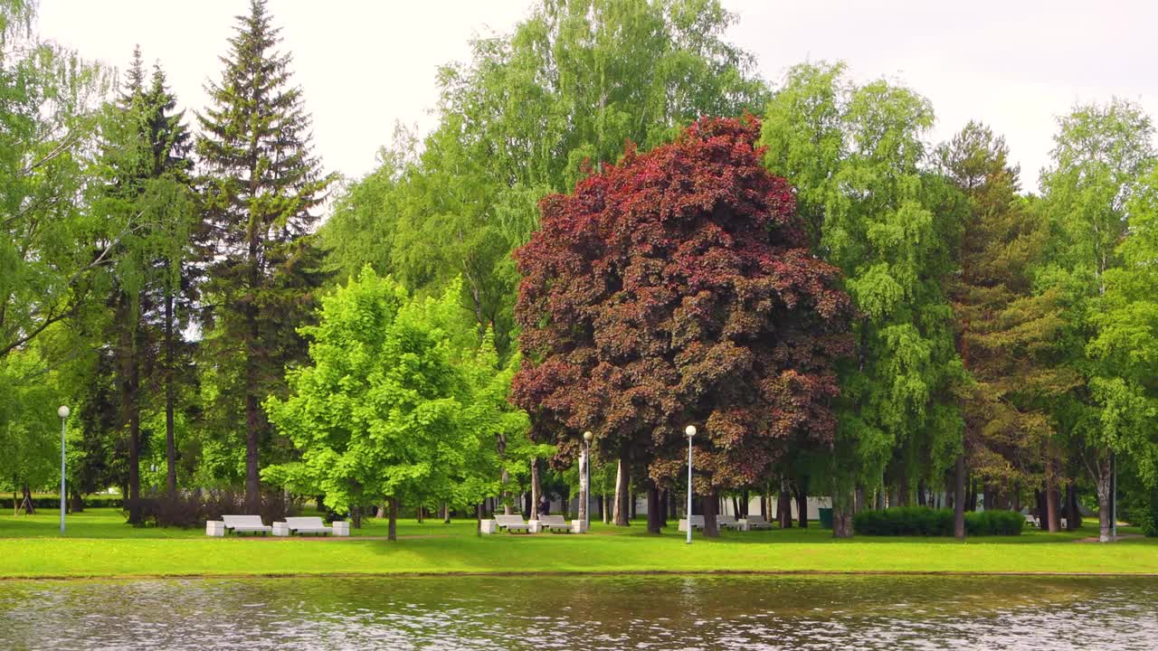 湖边的一个夏日公园的美丽风景。视频下载