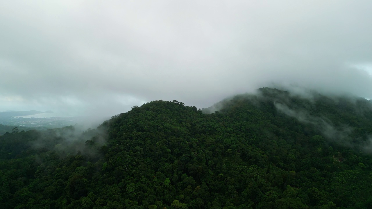 泰国普吉岛翠绿的大山上的云雾鸟瞰图。视频素材