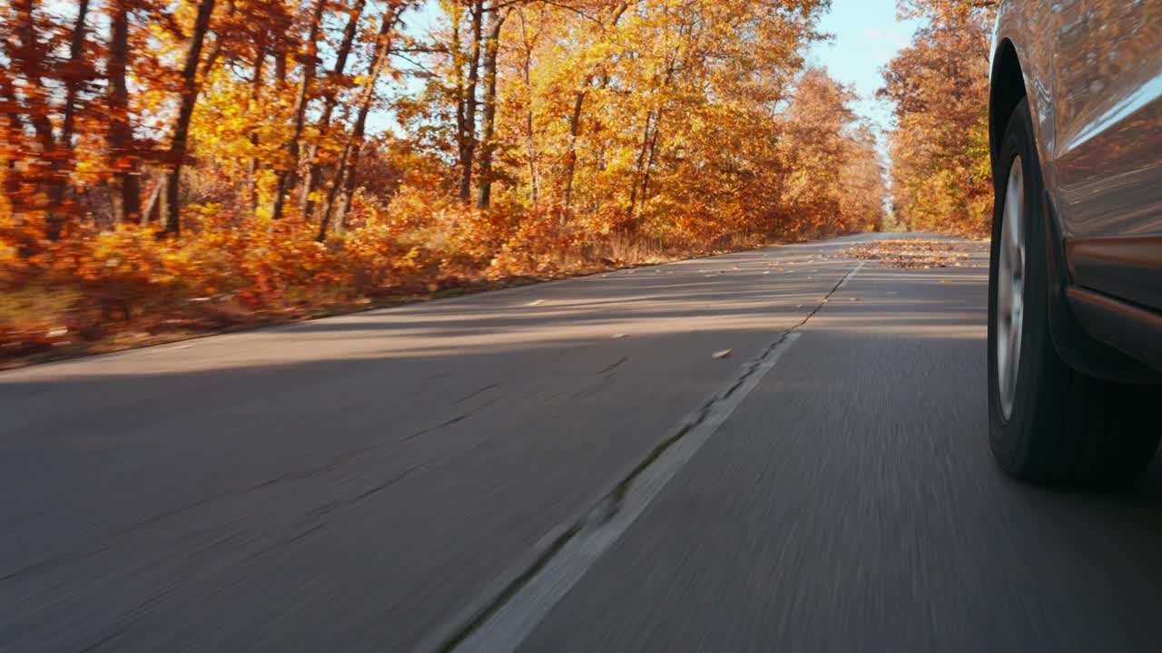 夕阳下泛黄的秋树。金色的秋叶在高速公路上的沥青路上以高速慢动作散落在车轮下视频素材