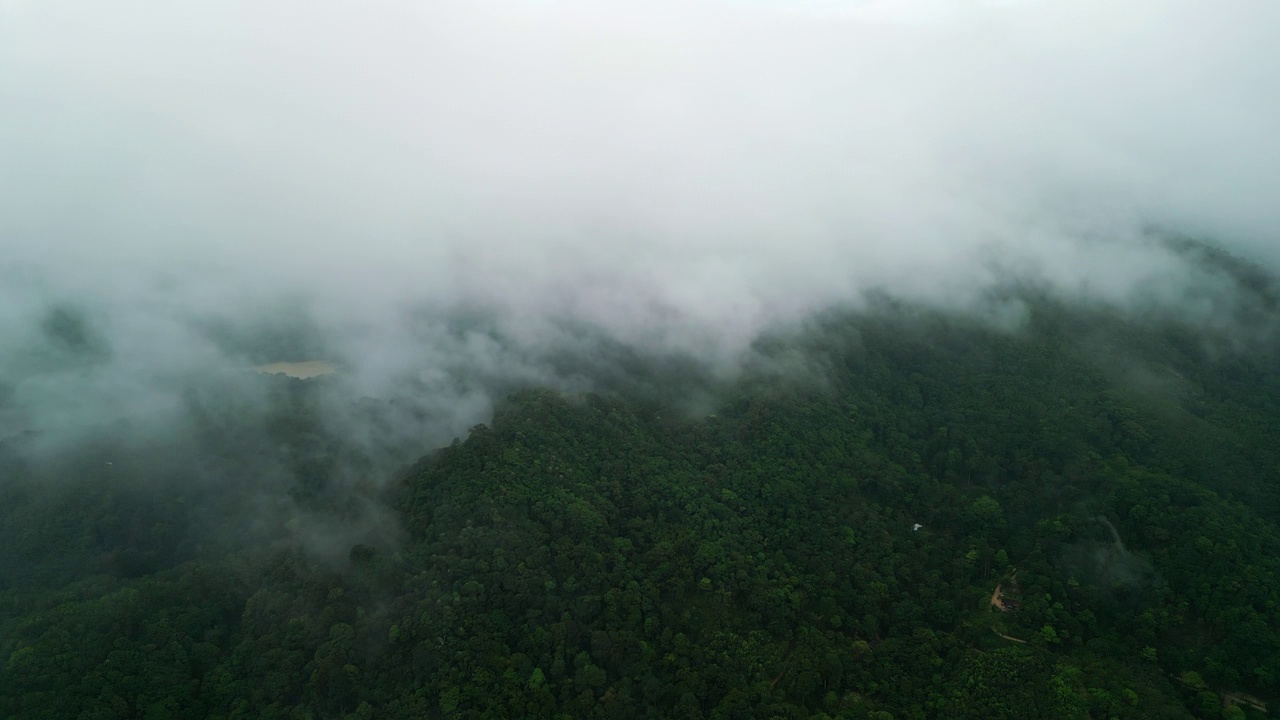 泰国普吉岛翠绿的大山上的云雾鸟瞰图。视频素材