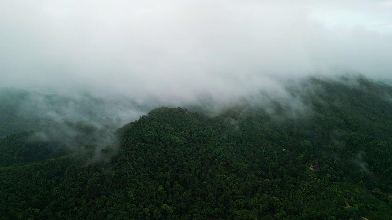 泰国普吉岛翠绿的大山上的云雾鸟瞰图。视频素材