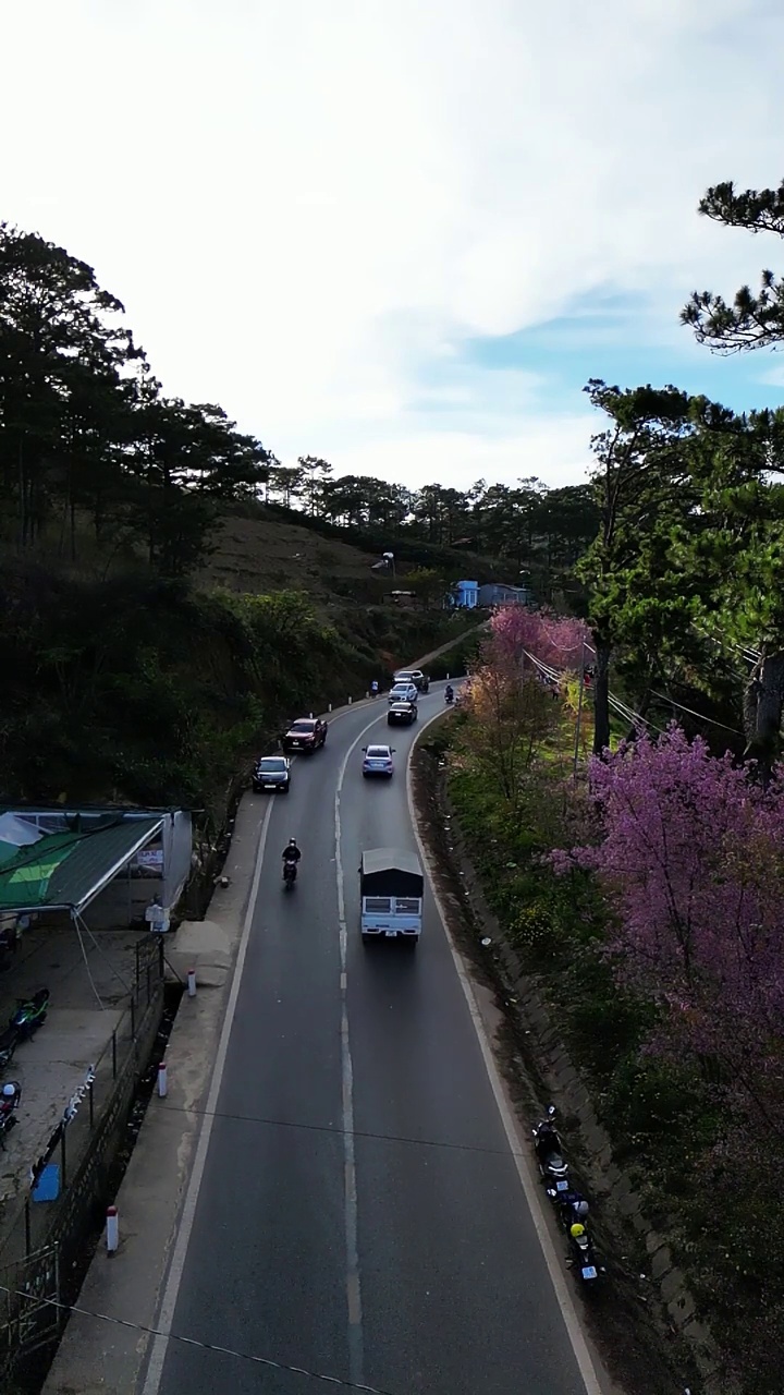 妖娆的花朵:大叻之花路上的慢动作之旅视频下载