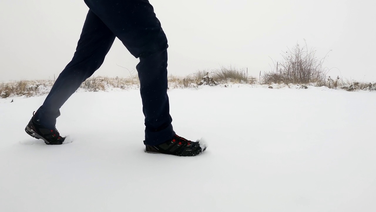 徒步旅行者在雪林中行走视频素材