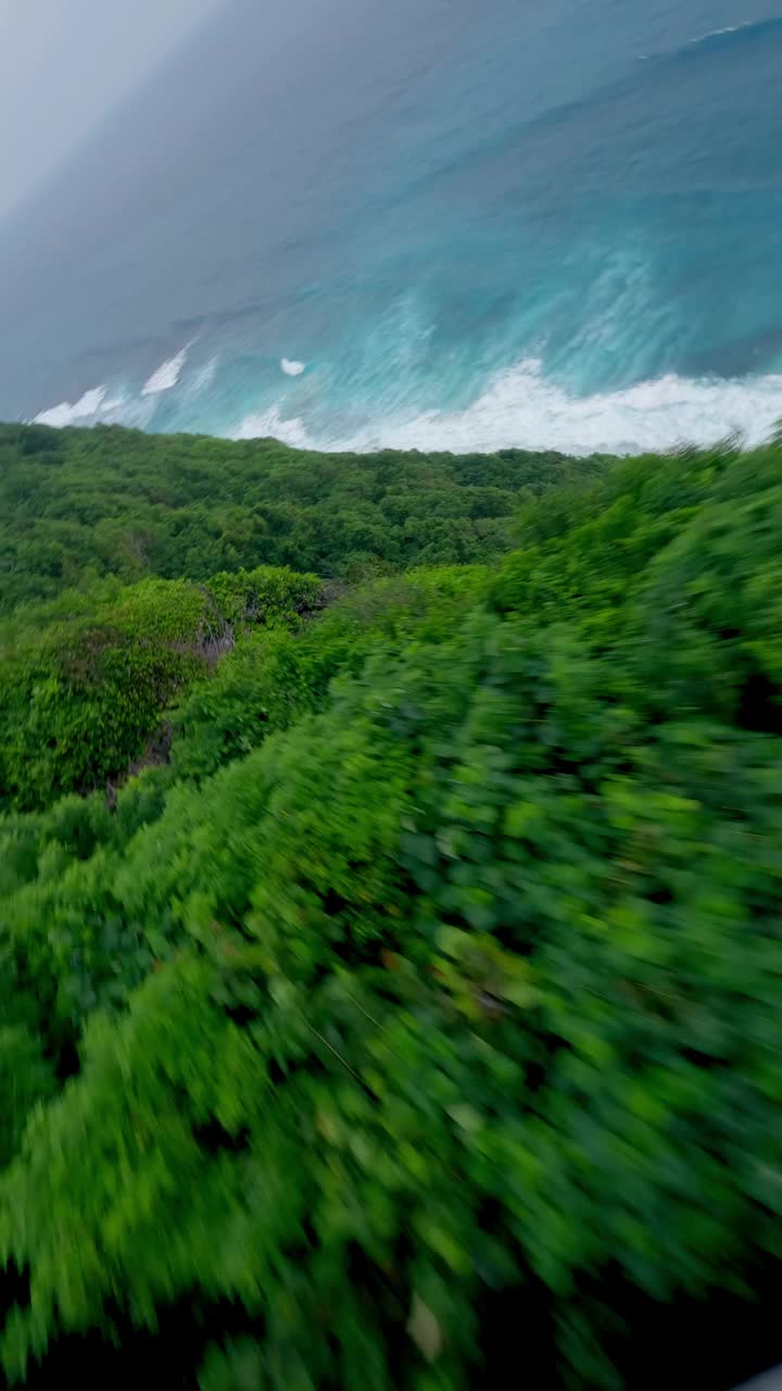 垂直视频。山速度潜水丛林植被海洋海浪天堂4k视频素材