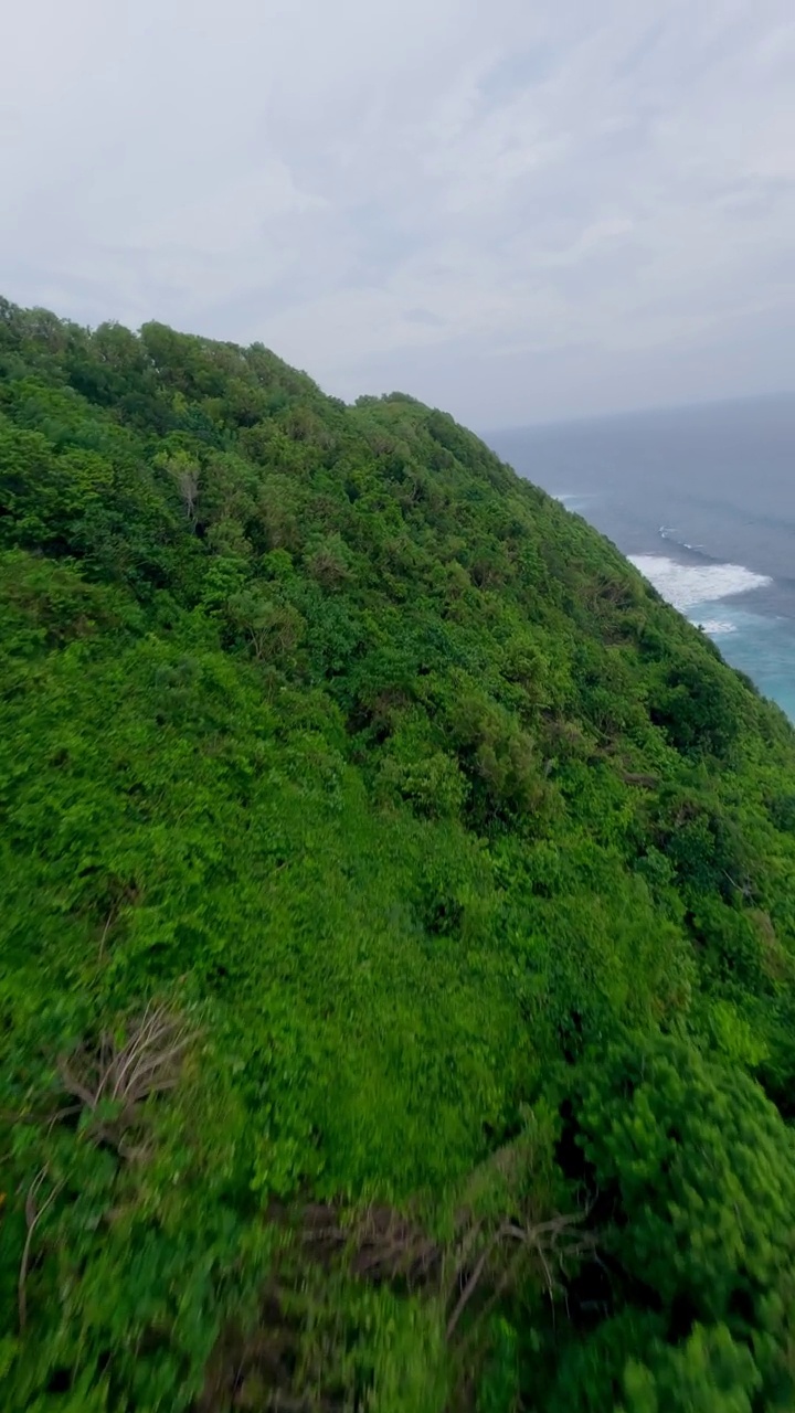 垂直视频。山丛林绿色植物植被海洋海洋海滩海岸线4k视频素材