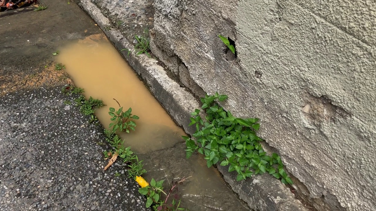 街上漏水视频素材